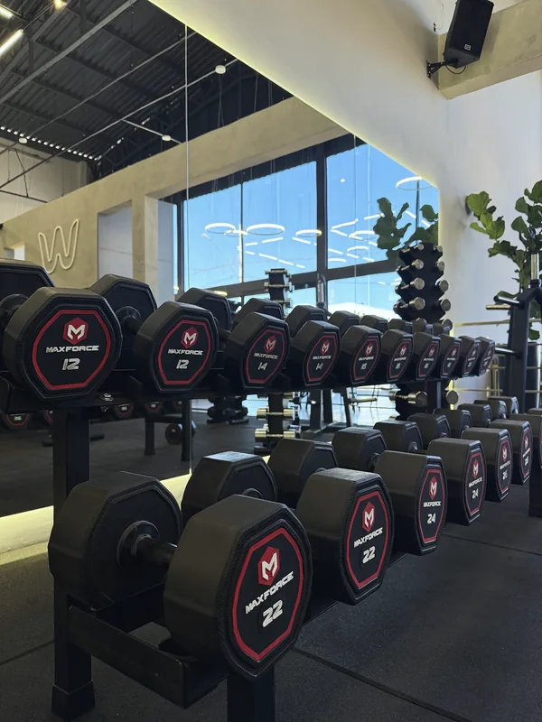 Halteres emborrachados Max Force enfileirados no rack