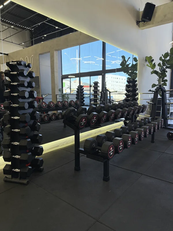 Rack de dois andares com linha completa de halteres Max Force em academia premium
